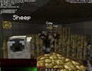 Named Entity Labels Mod for Minecraft 1.4.4