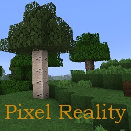 https://minecraft-forum.net/wp-content/uploads/2012/12/1c45c__Pixel-Reality-Texture-Pack.jpg