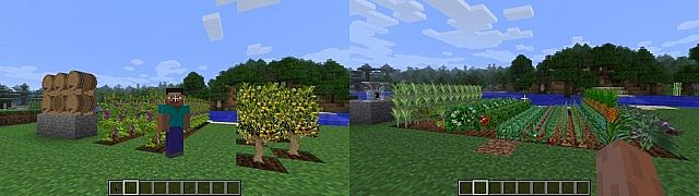 https://minecraft-forum.net/wp-content/uploads/2013/01/3cd12__Plants-and-Food-Mod-1.jpg