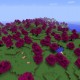 [1.6.1] Better Biomes Mod Download