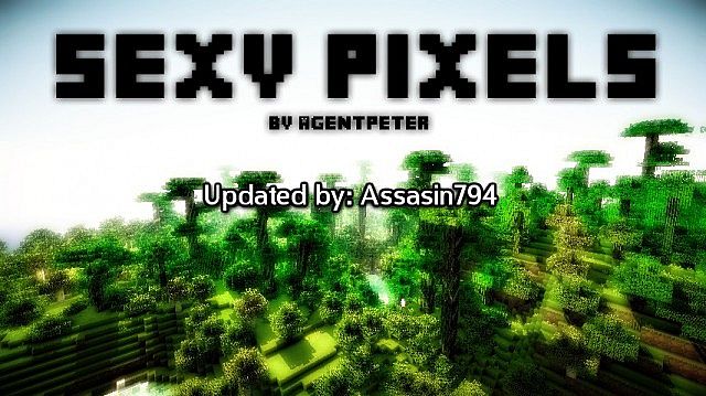 https://minecraft-forum.net/wp-content/uploads/2013/06/dc237__Sexy-pixels-texture-pack.jpg