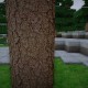 [1.7.2/1.6.4 [512x] Photo Real Modern HD Texture Pack Download