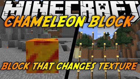 Chameleon-Blocks-Mod.jpg