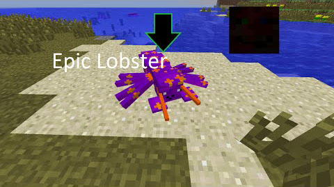 Lobster-Mod.jpg