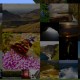 [1.9.4/1.8.9] [512x] Laacis2’s Nature Paintings Texture Pack Download