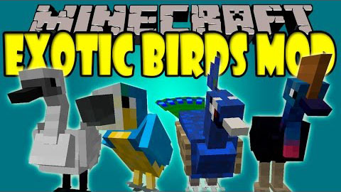 Exotic-Birds-Mod.jpg