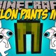 [1.10.2] Melon Pants Mod Download