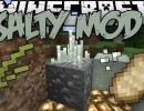 [1.11.2] Salty Mod Download