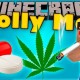 [1.10.2] Molly (Cocaine, Drug, Vodka) Mod Download