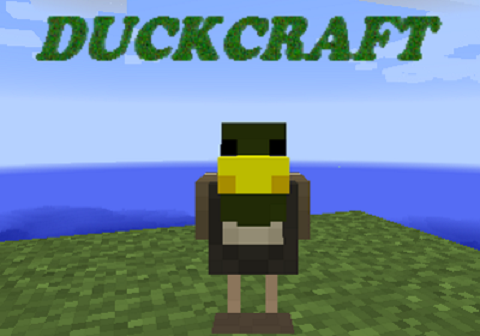 Duck-Craft.png
