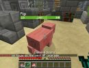 [1.11.2] Level Up HP Mod Download