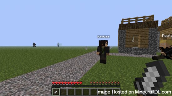 The Hunger Games Mod
